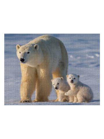1000-częściowe puzzle "Polar bears" - 12+