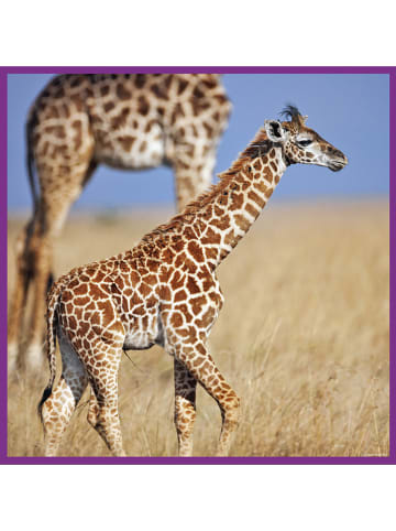 100-częściowe puzzle "Giraffes" - 5+