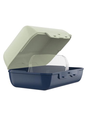Lunchbox "Variabolo" in Grün/ Blau - (B)16 x (H)10,8 x (T)11,8 cm
