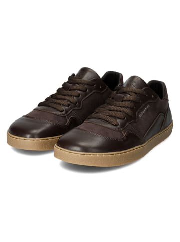 Skórzane buty barefoot "Nova Special" w kolorze brązowym