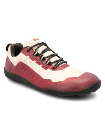 Buty barefoot "All Terrain 2.0" w kolorze czerwono-kremowym