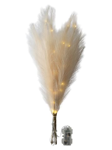 LED-Dekozweig "Pampagras" in Beige - (H)80 cm
