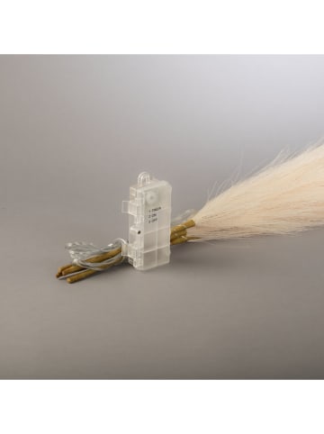 LED-Dekozweig "Pampagras" in Beige - (H)80 cm