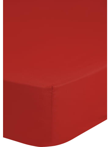 Good Morning Jersey hoeslaken "Emotion" rood
