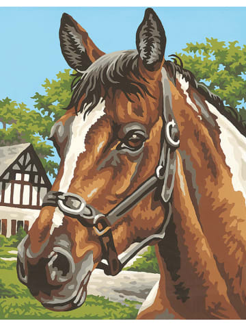 Schipper Schilderen op nummer-set "Paardenportret" - vanaf 8 jaar