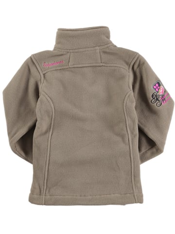 Peak Mountain Fleece vest taupe