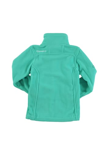 Peak Mountain Fleece vest groen