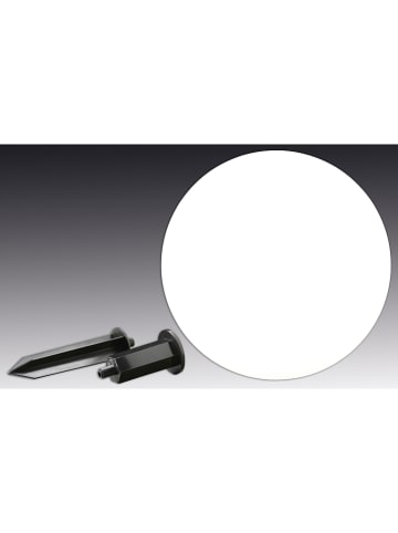 näve Tuinsteker zwart/wit - (H)63 cm