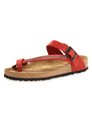 Comfortfusse Leren teenslippers rood