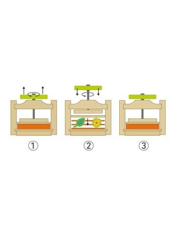 moses. Blatt- und Blütenpresse "Expedition Natur" - ab 3 Jahren