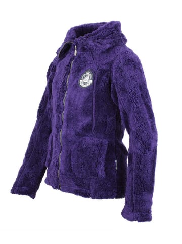 Peak Mountain Fleece vest paars