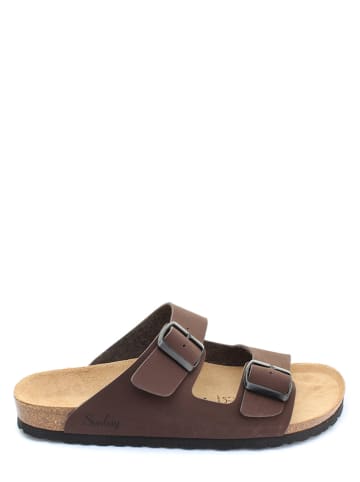 Sunbay Slippers "Trefle" bruin