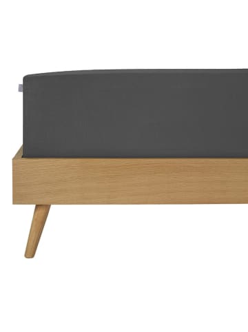 Schiesser Jersey-hoeslaken antraciet