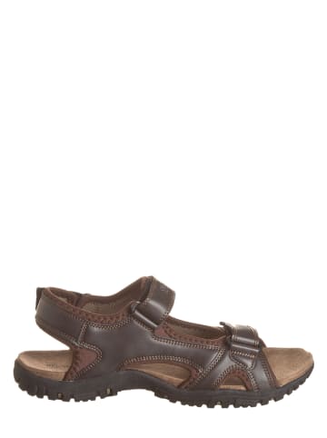Regatta Sandalen "Haris" bruin