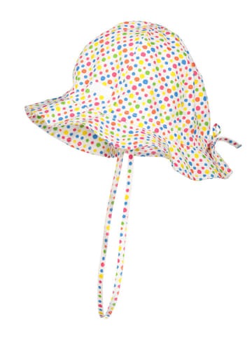 Döll Sonnenhut in Bunt