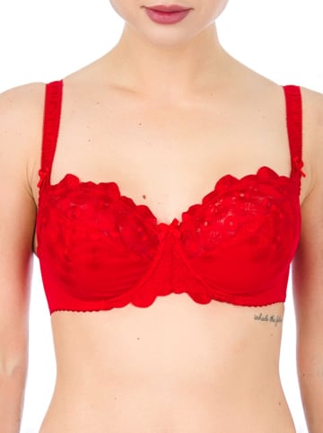 Valea Beugelbeha "Saragossa" rood