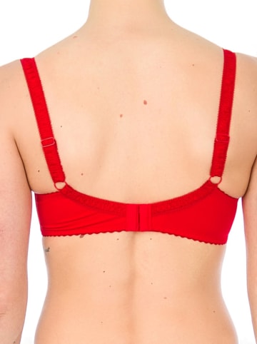 Valea Beugelbeha "Saragossa" rood