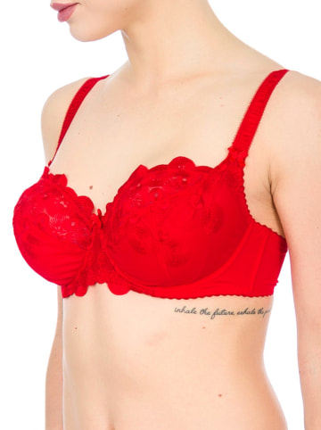 Valea Beugelbeha "Saragossa" rood