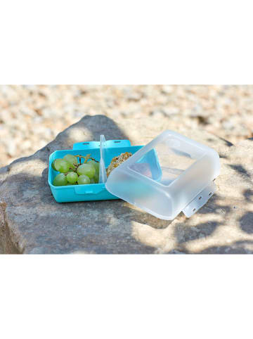 Emsa Lunchbox "Variabolo" in Bunt - (B)16 x (H)7 x (T)11 cm