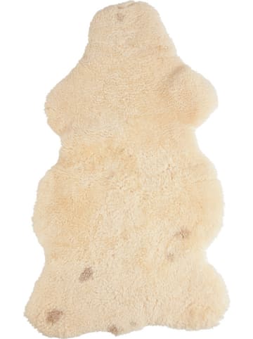 Kaiser Naturfellprodukte Wyściółka wełniana w kolorze beżowym