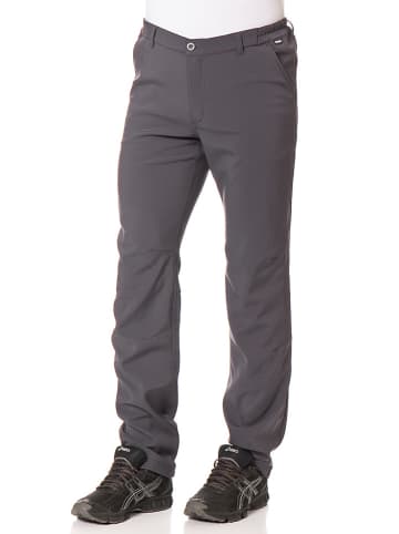 Regatta Spodnie funkcyjne "Fenton" w kolorze szarym