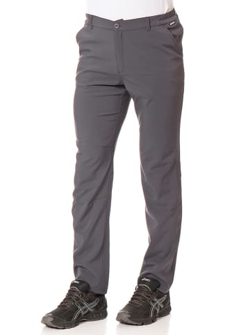 Regatta Broek "Fenton-Regular" grijs