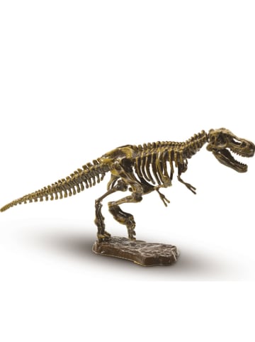SES Ausgrabungsset "T-Rex" - ab 4 Jahren