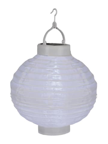 STAR Trading Solarny lampion LED w kolorze białym - wys.22 x Ø 20 cm