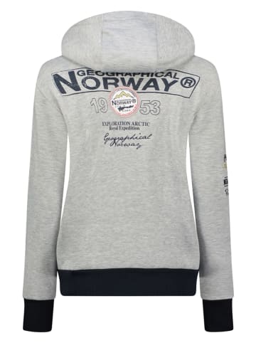 Geographical Norway Bluza "Flyer" w kolorze szarym