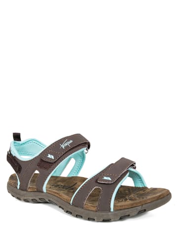 Trespass Trekking-Sandalen "Serac" in Braun