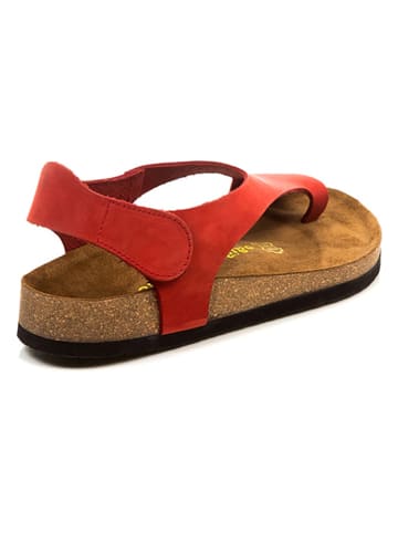 Comfortfusse Leren teenslippers rood