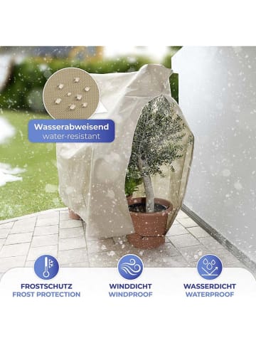 Wenko 4-delige set: windlichtjes "Melissa" bordeaux - (H)9 cm