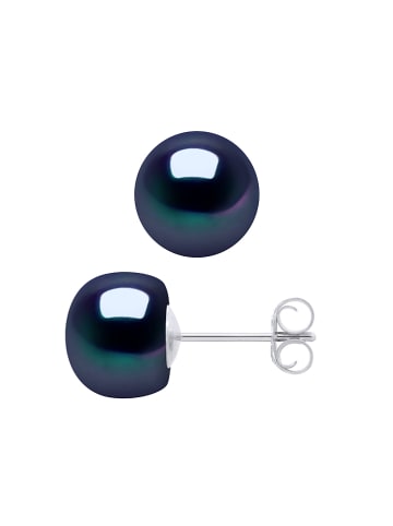 Pearl Addict Perlen-Ohrstecker in Tahitifarben