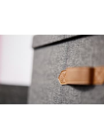 STORE IT Ordnungsbox in Anthrazit - (B)54 x (H)25 x (T)40 cm