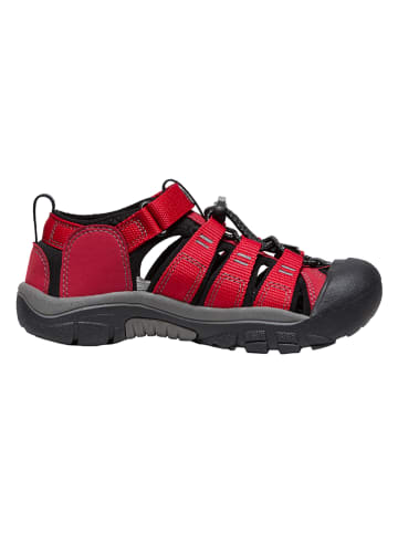 Keen Wandersandalen in Rot