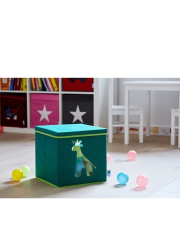 STORE IT Ordnungsbox in Grün - (B)30 x (H)30 x (T)30 cm