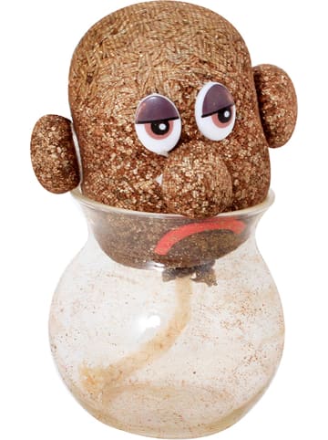 MGM Plantenpot in hoofdvorm - vanaf 6 jaar (verrassingsproduct)