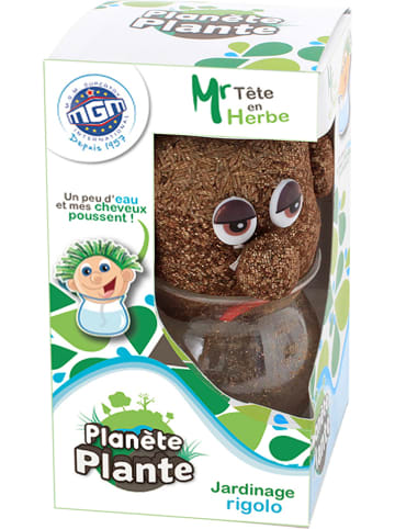 MGM Plantenpot in hoofdvorm - vanaf 6 jaar (verrassingsproduct)