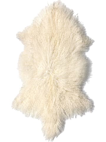 Hofbrucker Skóra jagnięca w kolorze białym