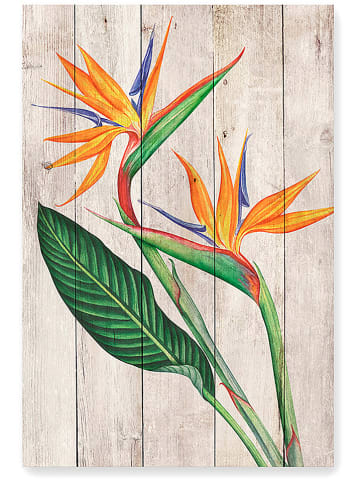 Madre Selva Nadruk "Ave del Paraiso" na drewnie - 40 x 60 cm