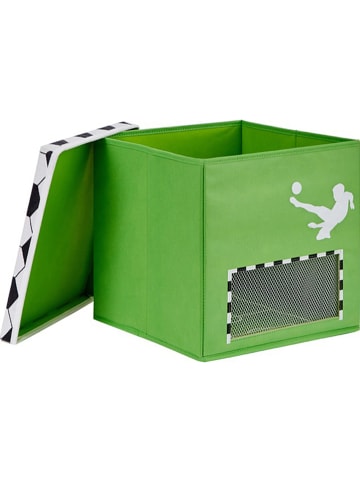 STORE IT Ordnungsbox in Grün - (B)30 x (H)30 x (T)30 cm