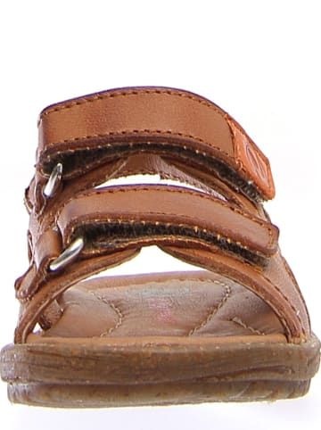 Naturino Skórzane sandały w kolorze jasnobrązowym