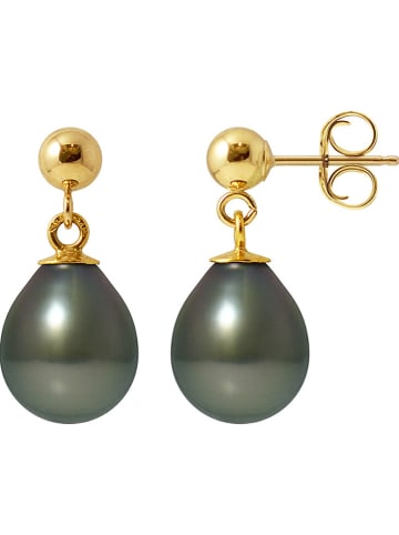Pearl Addict Gold-Ohrstecker mit Perlen