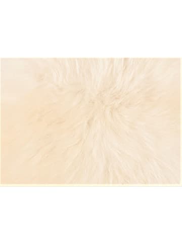 Kaiser Naturfellprodukte H&L Wyściółka wełniana w kolorze białym do siedzenia