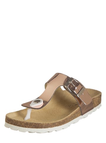 BIO PINGÜIN Teenslippers bronskleurig