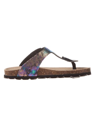BIO PINGÜIN Teenslippers meerkleurig