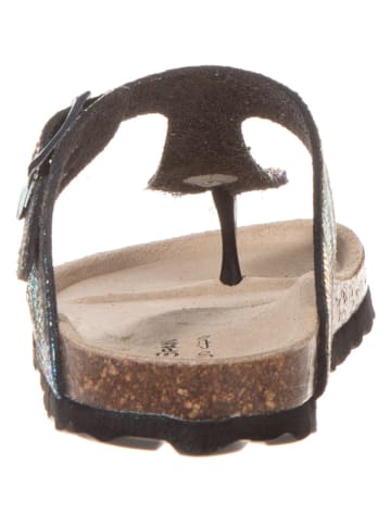 BIO PINGÜIN Teenslippers meerkleurig