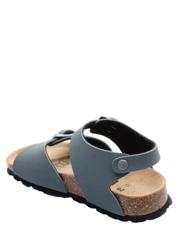 BAYTON Sandalen "Pegase" in Anthrazit