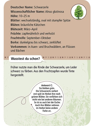 moses. Kartenset "50 heimische Bäume" - ab 6 Jahren