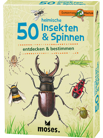 moses. Kartenset "50 heimische Insekten & Spinnen" - ab 6 Jahren